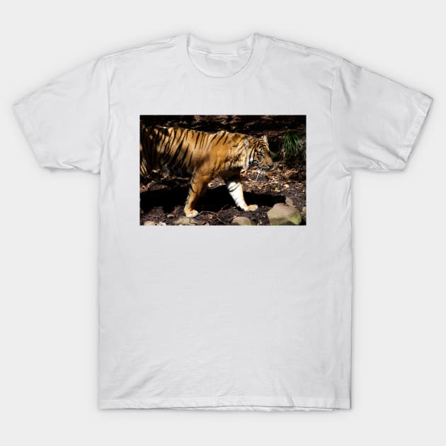 Tiger On Patrol T-Shirt by GP1746